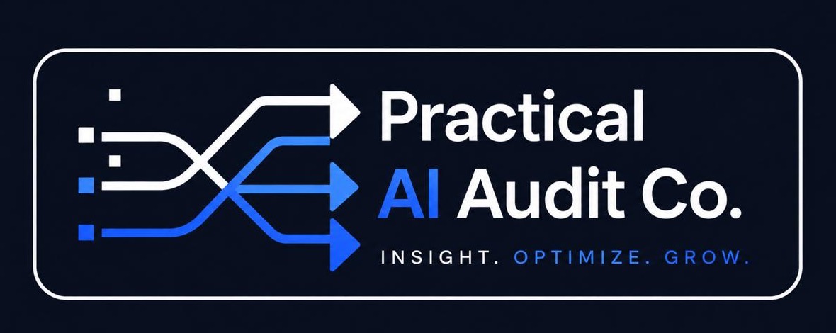 Practical AI Audit Co. logo